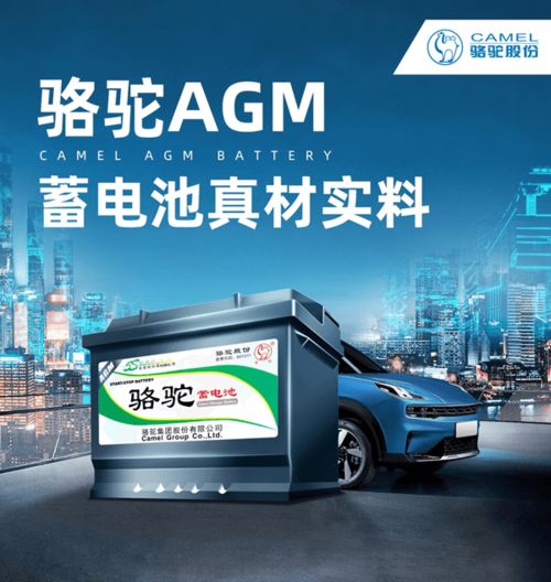 駱駝蓄電池 助力高考，絕不虧電，一路狂奔向未來